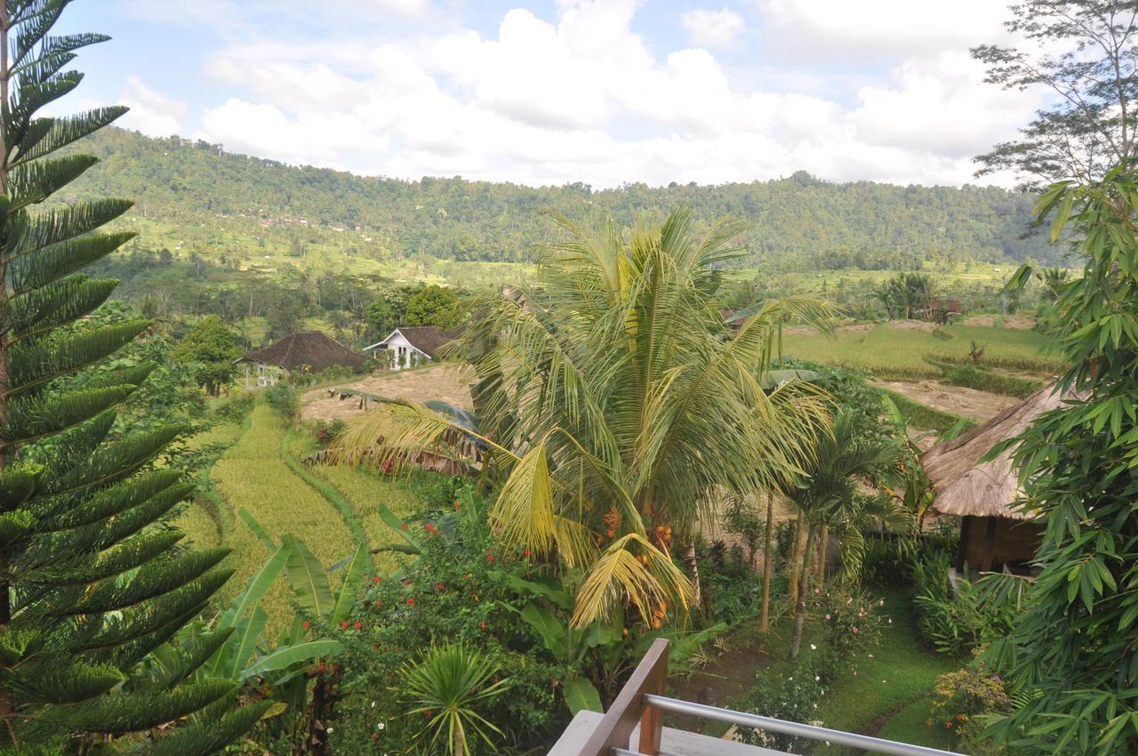 Villa Shantiasa Bali Sidemen  Extérieur photo